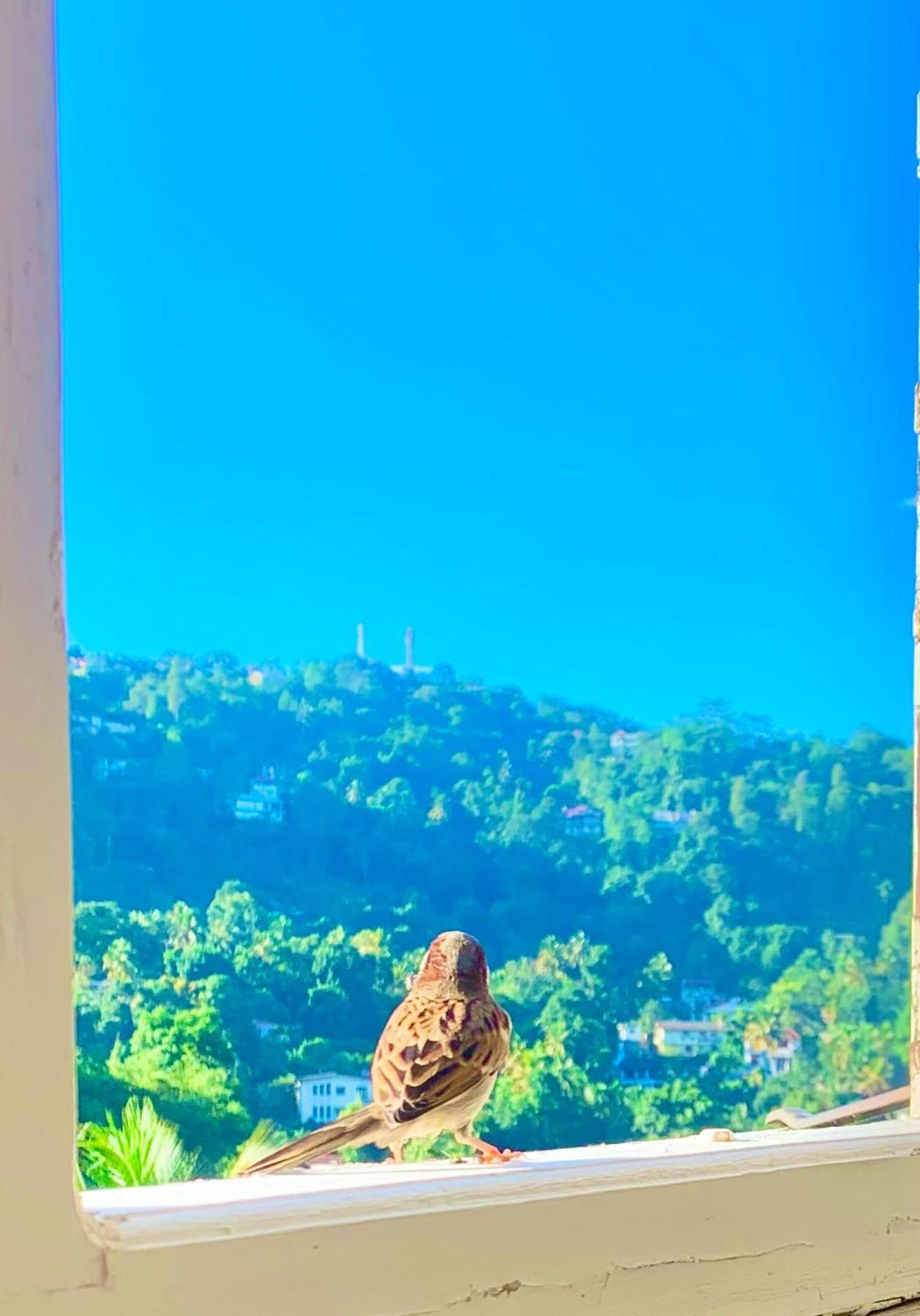 Gangula Villa Kandy Eksteriør bilde